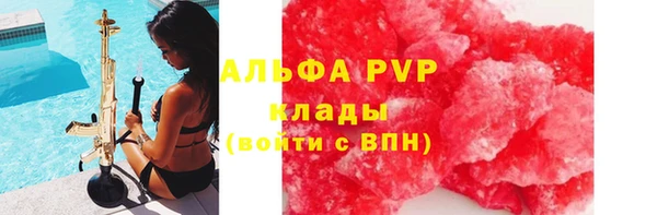 сатива Алзамай